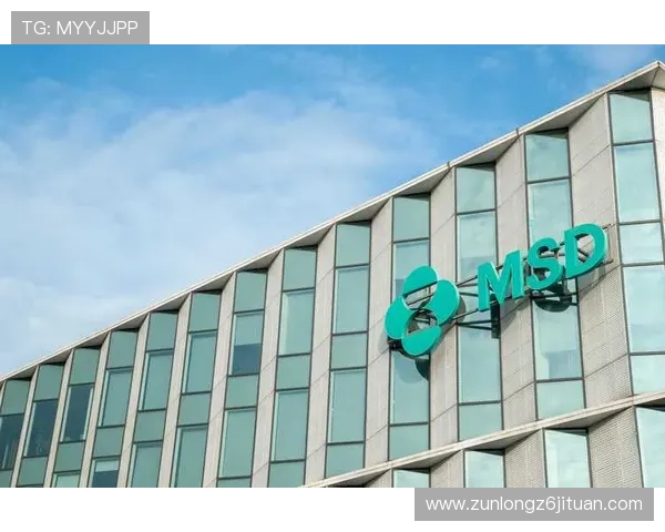 z6尊龙旗舰厅官网入口最新登录指南，轻松进入尊龙旗舰厅体验尊贵娱乐服务