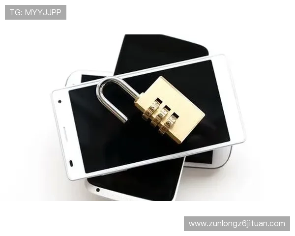 尊龙凯官方网站安全保障措施确保用户信息安全与隐私保护 尊龙凯官方网站安全保障措施确保用户信息安全与隐私保护