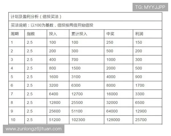 Z6尊龙世界杯下注：结合赛事分析制定科学投注计划，降低风险提高中奖几率